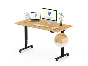 FLEXISPOT E6 Standing Desk