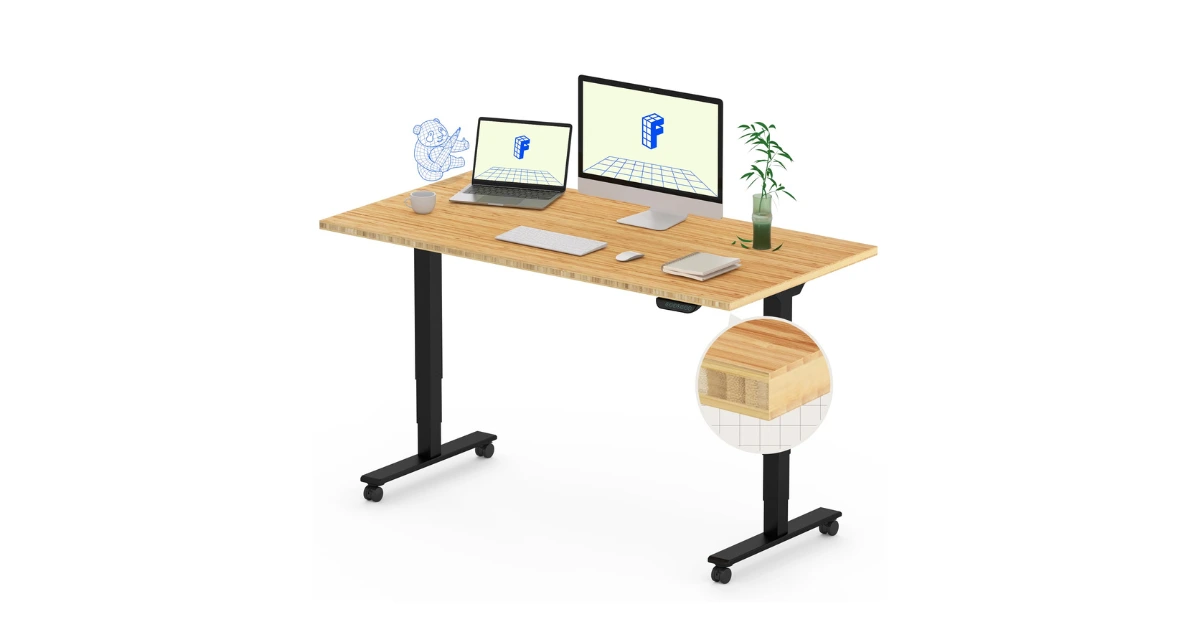 FLEXISPOT E6 Standing Desk