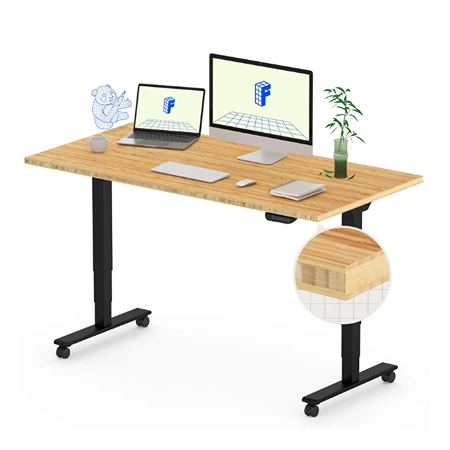FLEXISPOT E6 Standing Desk
