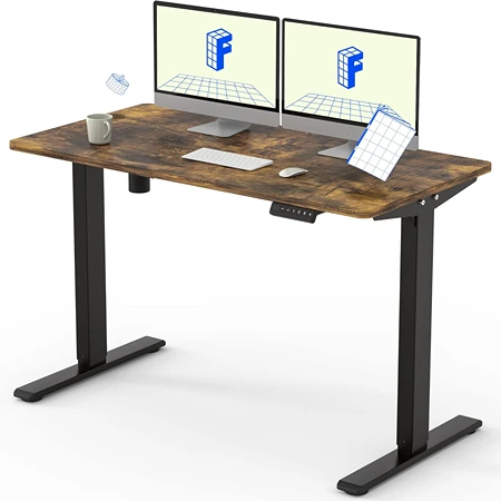 FlexiSpot EN1 Standing Desk